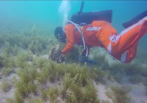 GA黄金甲·(中国区)体育官方网站