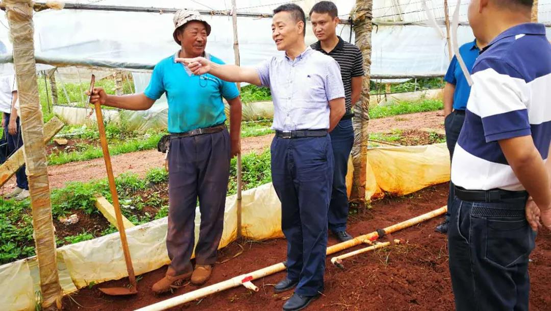 GA黄金甲·(中国区)体育官方网站