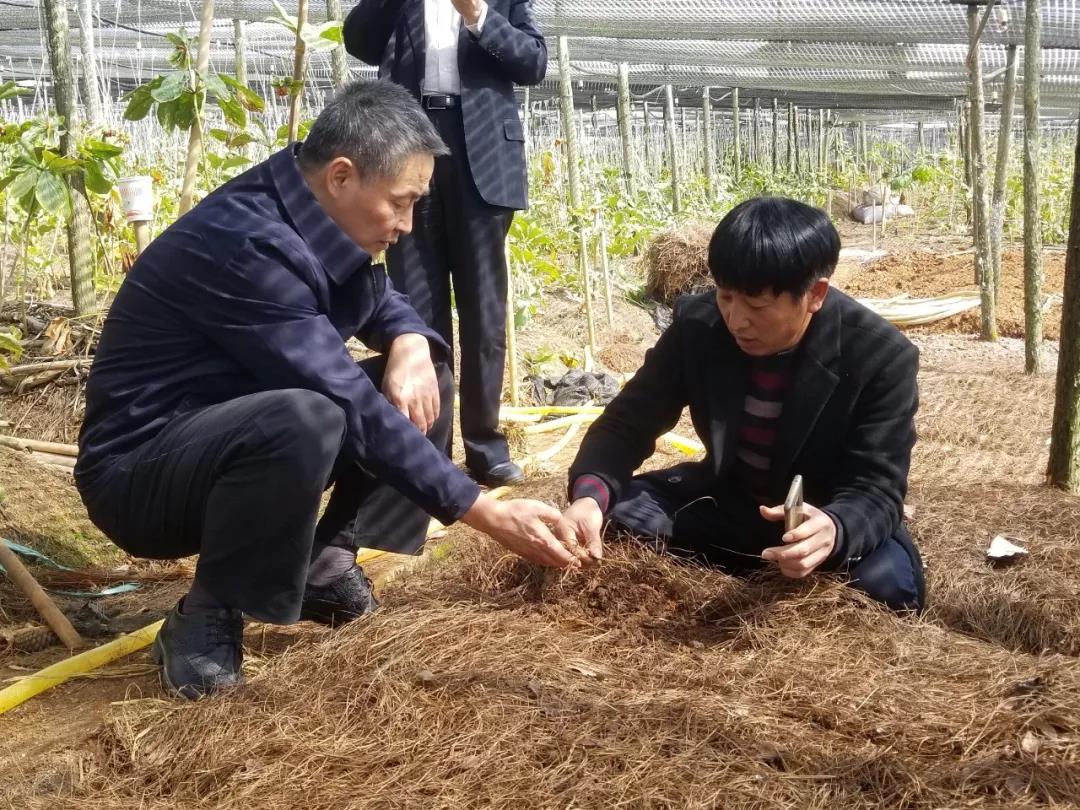 GA黄金甲·(中国区)体育官方网站