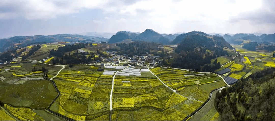 GA黄金甲·(中国区)体育官方网站