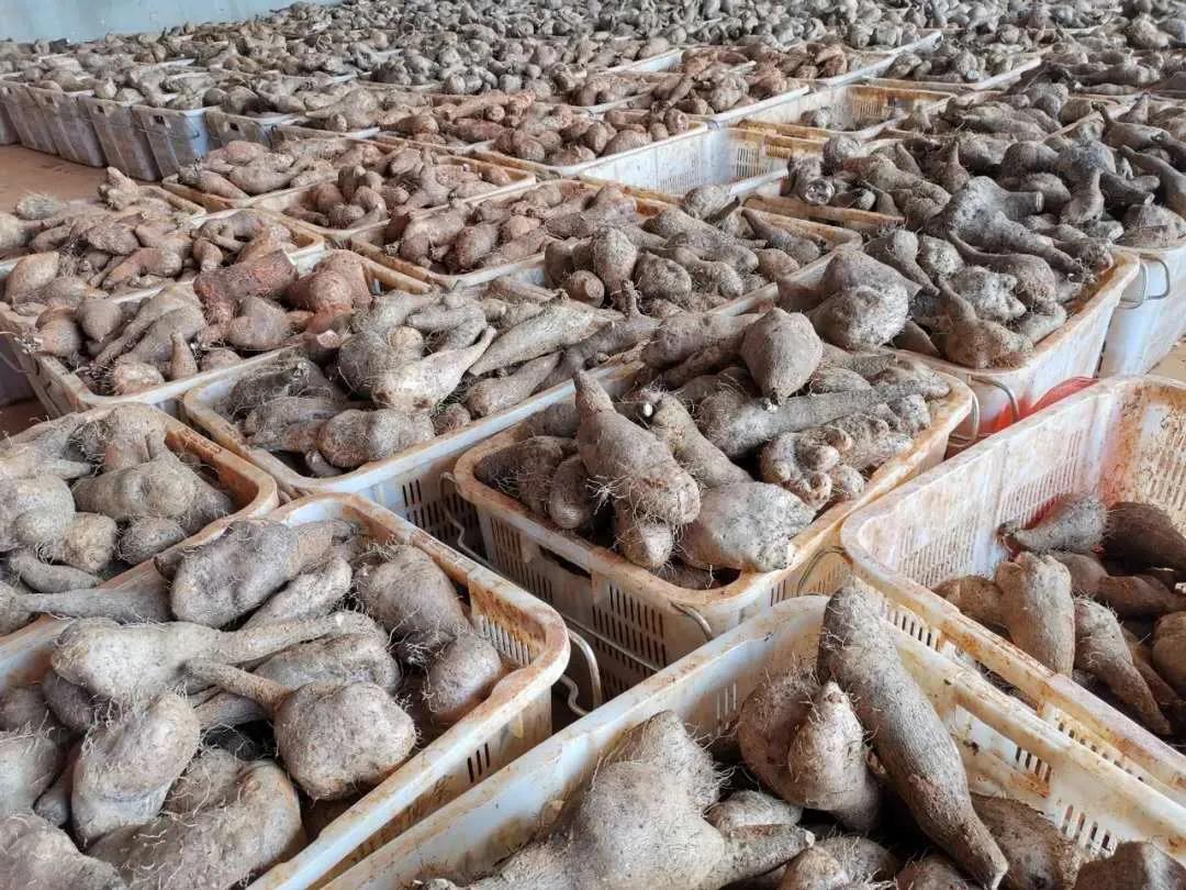 GA黄金甲·(中国区)体育官方网站