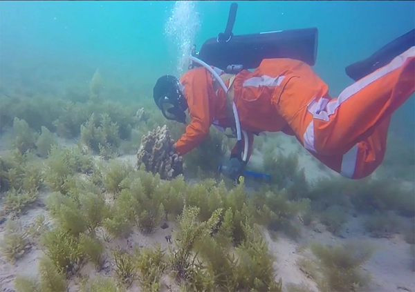 GA黄金甲·(中国区)体育官方网站