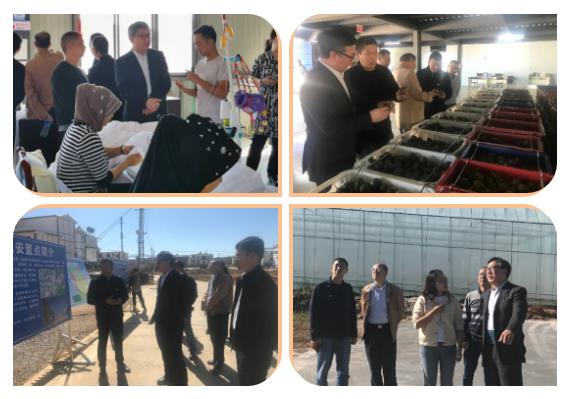 GA黄金甲·(中国区)体育官方网站