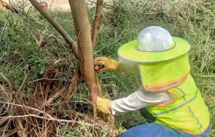 GA黄金甲·(中国区)体育官方网站