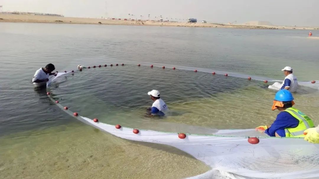 GA黄金甲·(中国区)体育官方网站