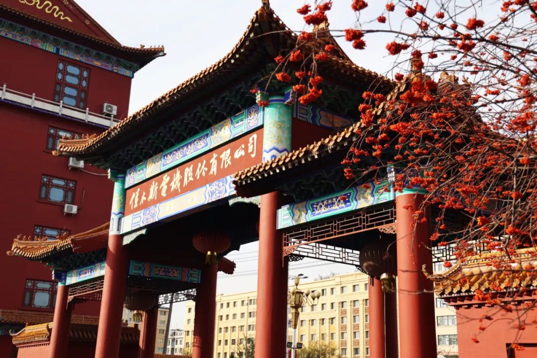 GA黄金甲·(中国区)体育官方网站