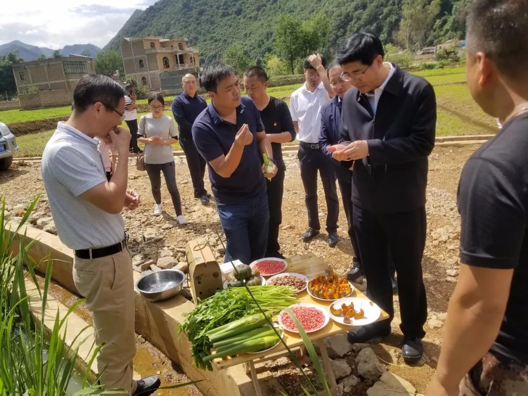 GA黄金甲·(中国区)体育官方网站