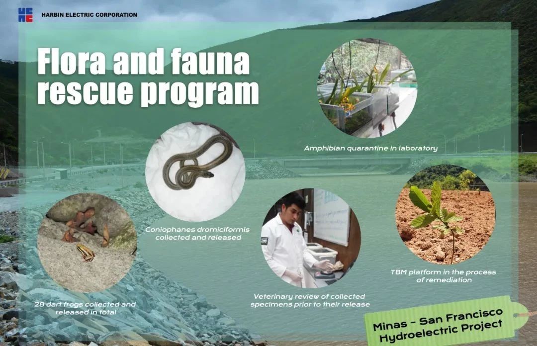 GA黄金甲·(中国区)体育官方网站