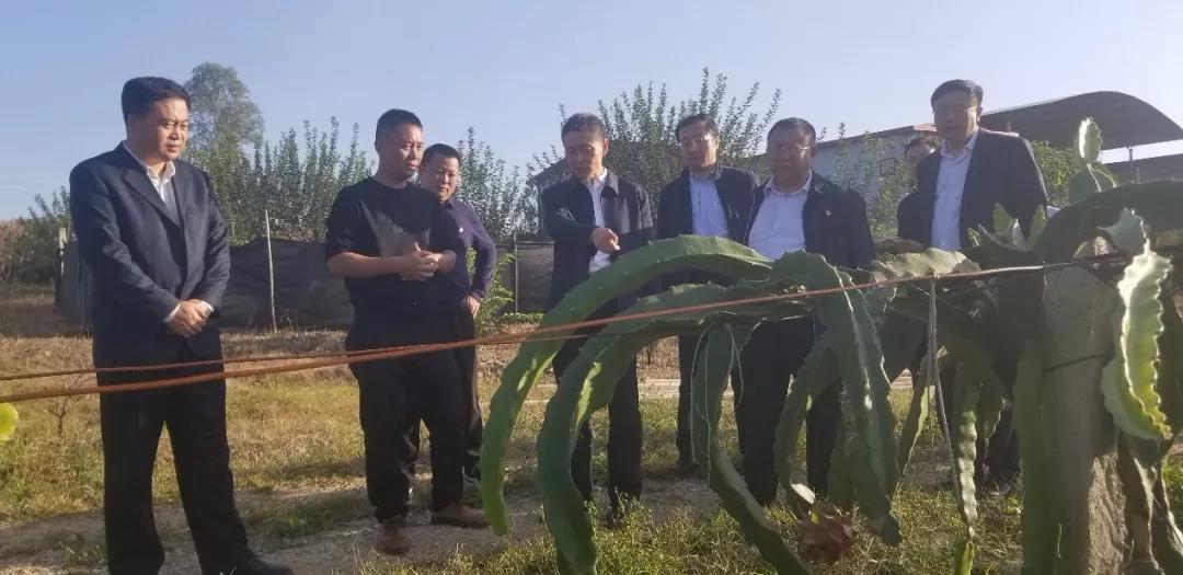 GA黄金甲·(中国区)体育官方网站