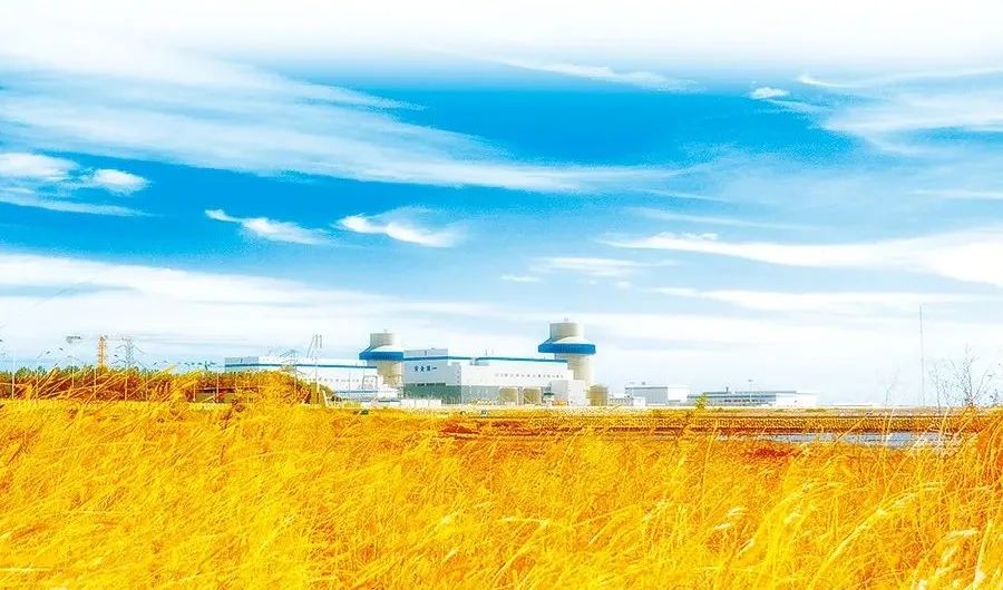 GA黄金甲·(中国区)体育官方网站