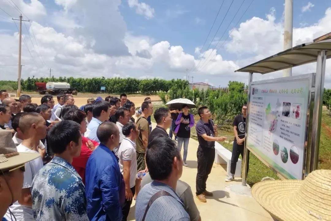 GA黄金甲·(中国区)体育官方网站