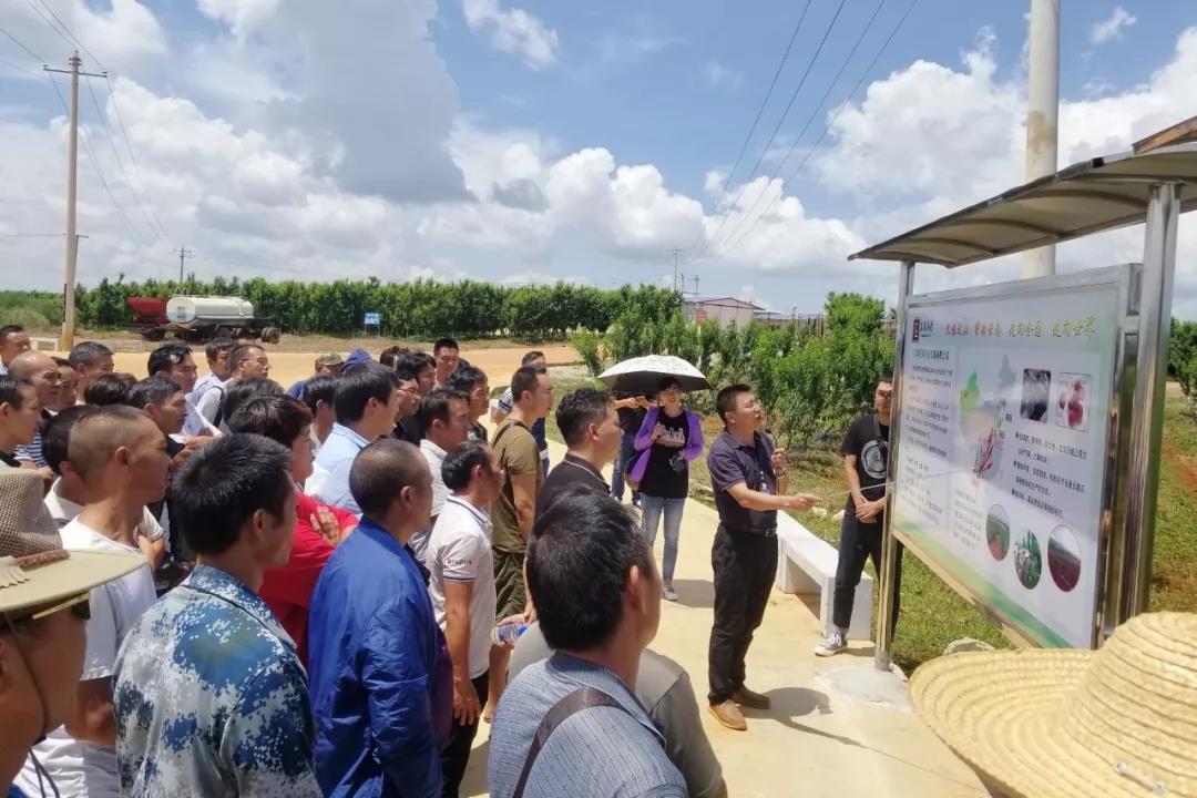 GA黄金甲·(中国区)体育官方网站