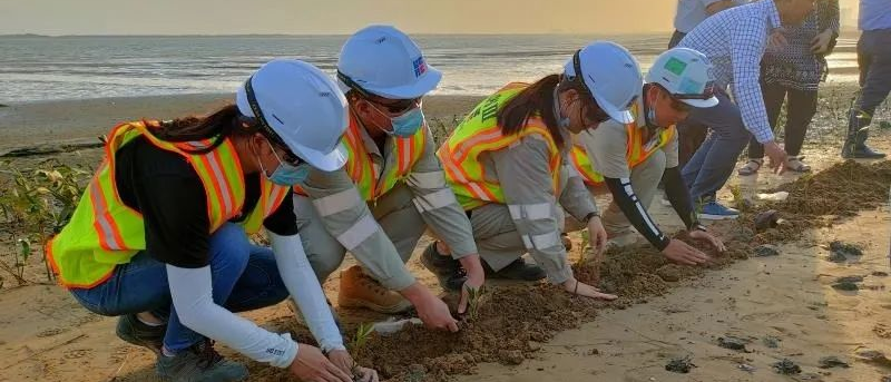 GA黄金甲·(中国区)体育官方网站