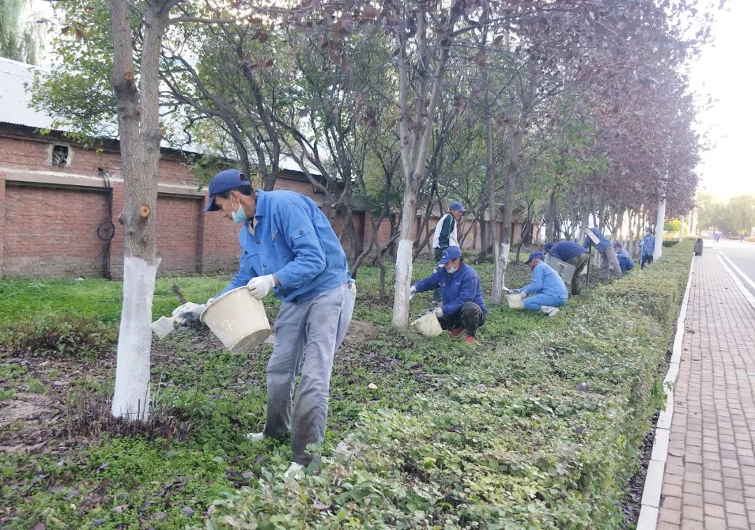 GA黄金甲·(中国区)体育官方网站