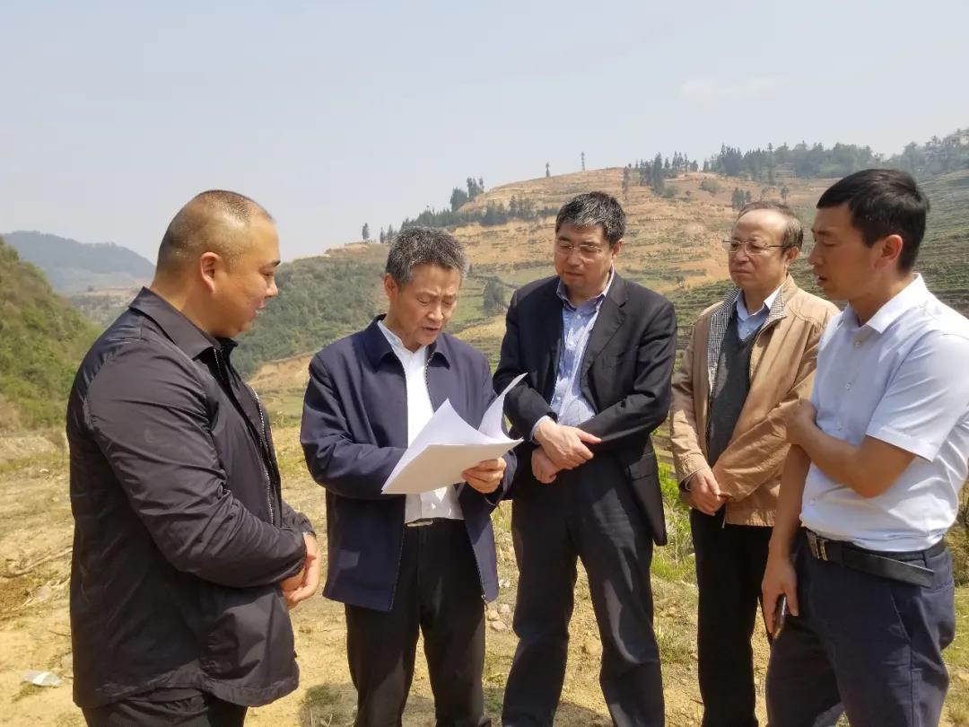 GA黄金甲·(中国区)体育官方网站