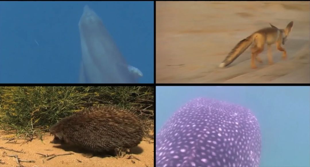 GA�ƽ�ס�(�й���)�����ٷ���վ