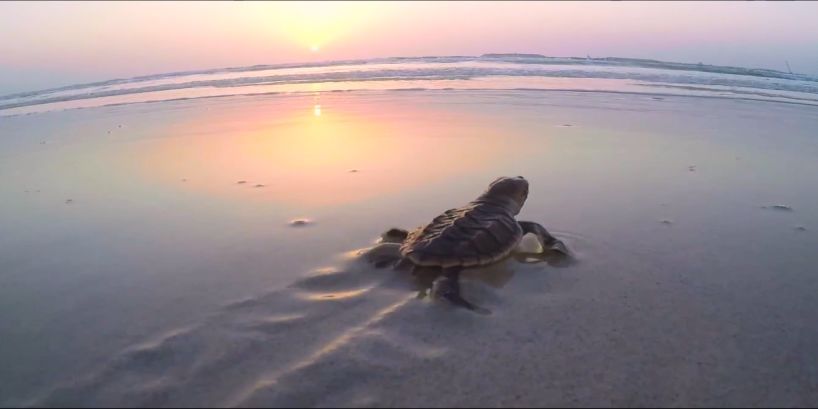 GA�ƽ�ס�(�й���)�����ٷ���վ