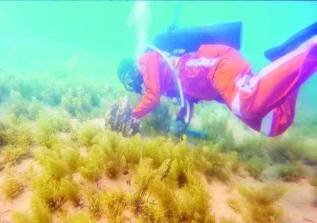 GA�ƽ�ס�(�й���)�����ٷ���վ