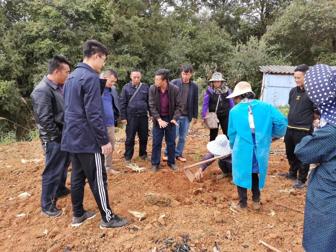 GA�ƽ�ס�(�й���)�����ٷ���վ