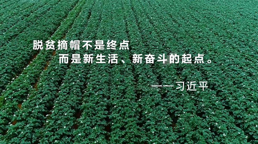 GA�ƽ�ס�(�й���)�����ٷ���վ