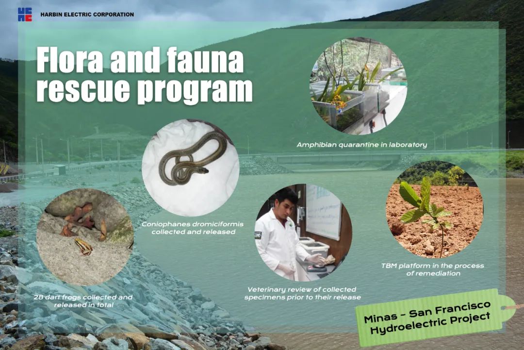 GA�ƽ�ס�(�й���)�����ٷ���վ