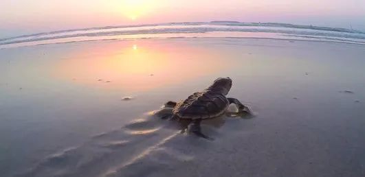 GA�ƽ�ס�(�й���)�����ٷ���վ